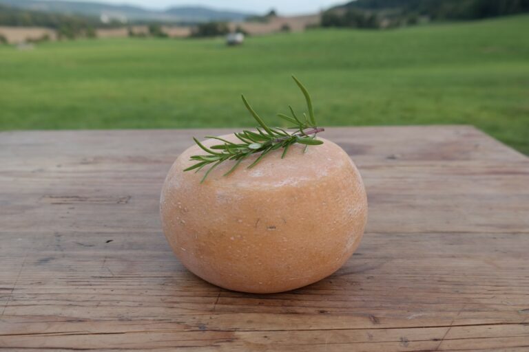 Ziegenkäse mit Rosmarin