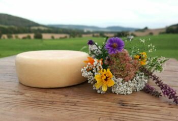 halbfester Ziegenschnittkäse