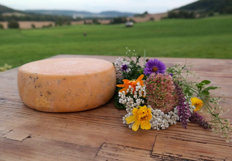 Schnittkäse Schwarzkümmel