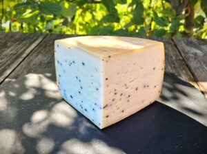 Schnittkäse Schwarzkümmel