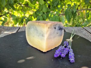 Schafschnittkäse Asche - 1 Jahr gereift -