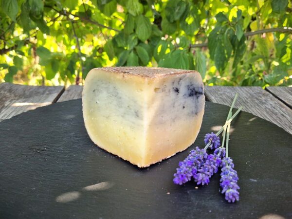 Schafschnittkäse Asche - 1 Jahr gereift -
