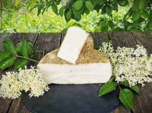 Ziegenschnittkäse Holunderblütentraum